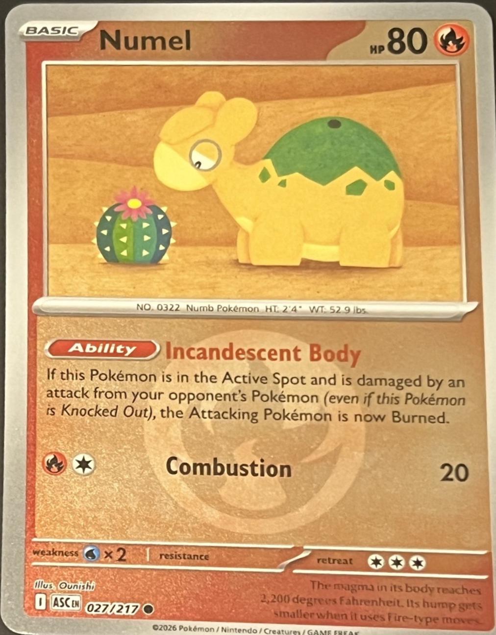 Ascended Heroes Numel [Energy] Pokémon card